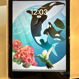 Ipad 5 generazione 9.7’ wi-fi + Cellular