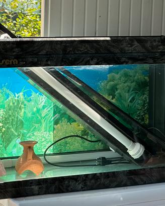 Acquario 120 litri “Sera”