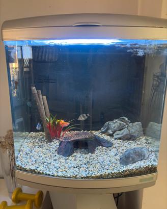 Acquario  60 lt