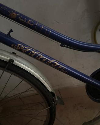Bicicletta da donna con cambio