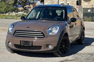 Mini Countryman F60 2013