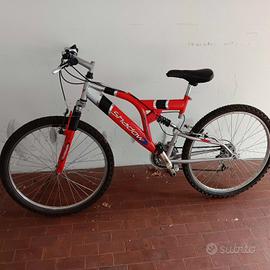 2 biciclette da ragazzi.