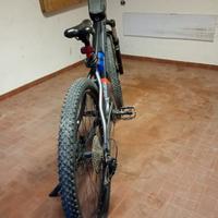 Bicicletta elettrica 
