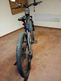 Bicicletta elettrica 