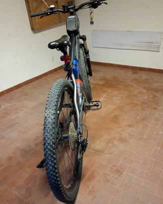 Bicicletta elettrica 
