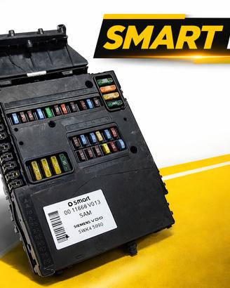 Riparazione Centralina SAM Smart Fortwo 450 / 451