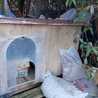 Cuccia in legno