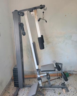 palestra multinazionale 