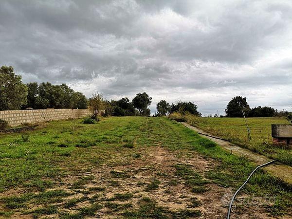 Fabbricato c/2 con ampio terreno agricolo - Vista 5