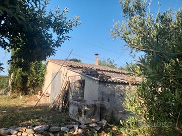 Sorano - Box e stalla