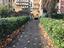 Immagine 6