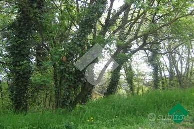 TER. AGRICOLO A TEOLO