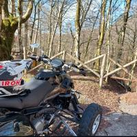 Altro Altro modello - 2010