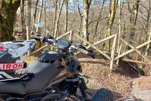 Altro Altro modello - 2010