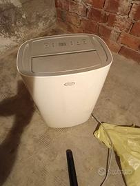 Deumidificatore+pinguino aria condizionata