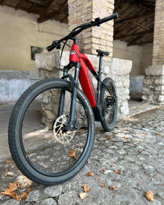 Bici e-bike fantic