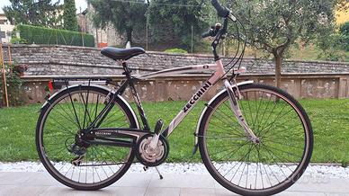 bici da uomo  city bike