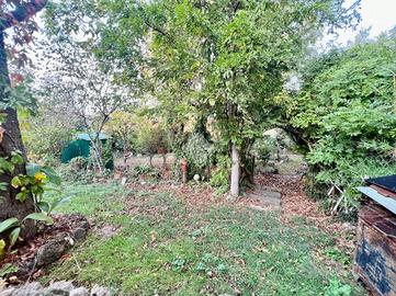 CASA INDIPENDENTE A MONTEFIASCONE