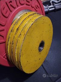 Dischi olimpionici powerlifting