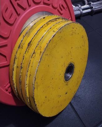 Dischi olimpionici powerlifting