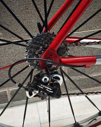 bici corsa olmo