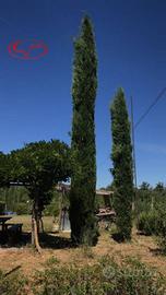 Villa di 175 m² con 3 locali a Bucine