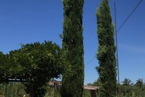Villa di 175 m² con 3 locali a Bucine