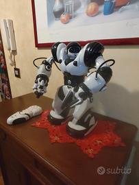 Robot Robosapien