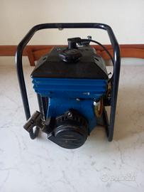 Motore Pompa Acqua per Orto
