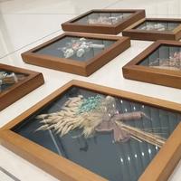 Quadretti con fiori secchi