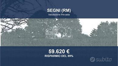 Immobile in asta di 18794 m² a Segni