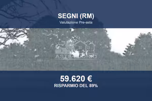 Immobile in asta di 18794 m² a Segni