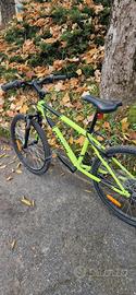 bici ragazzo da 24