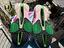 Immagine 4