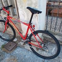 Bicicletta
