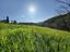 Immagine 22