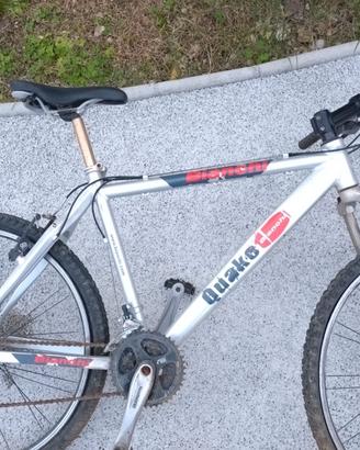 Mountain Bike Bianchi Quake