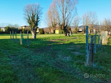 Terreno Sant' Anna (Lucca)