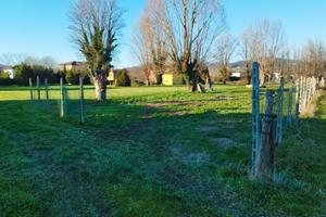 Terreno Sant' Anna (Lucca)