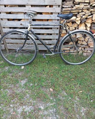 Bici da uomo