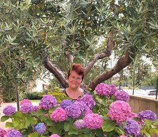 Badante esperta in Toscana