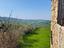 Immagine 7