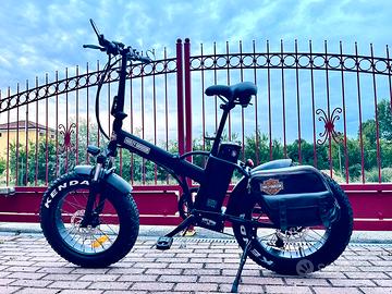 Fat bike icone pure custom