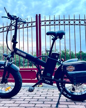 Fat bike icone pure custom