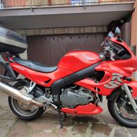 Triumph Sprint RS 955 i