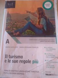 9788823353671 - Il turismo e le sue regole più