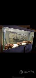ACQUARIO MARINO COMPLETO – PRONTO ALL’USO