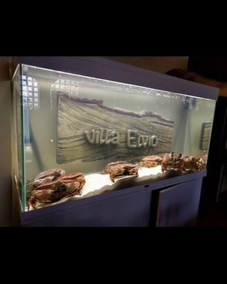 ACQUARIO MARINO COMPLETO – PRONTO ALL’USO