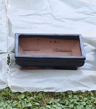 Vasi Bonsai
