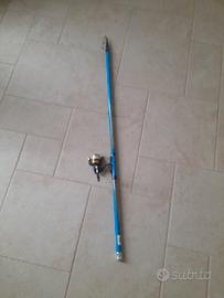 canna bolognese 6mt
